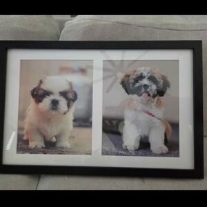 New 12x20 Frame With 2 8x10 Openings